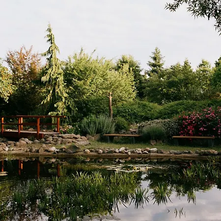 Alte Schmiede 게스트하우스 3*