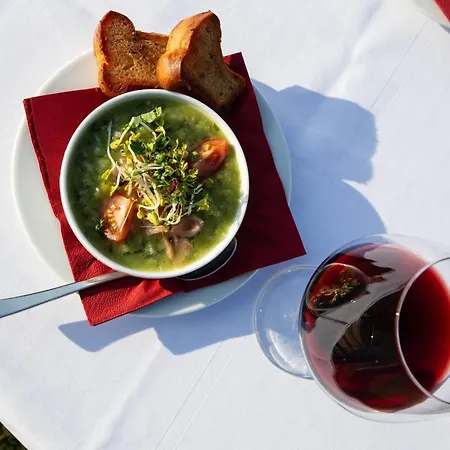 Alte Schmiede 3* 니에메크