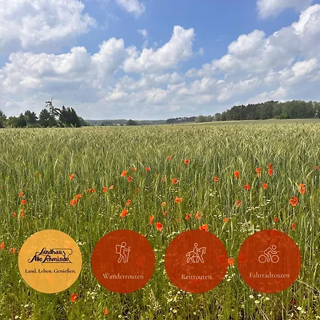 Alte Schmiede 3* Niemegk (Brandenburg)