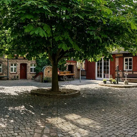 Alte Schmiede 게스트하우스