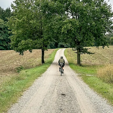 Alte Schmiede Pensjonat 3*