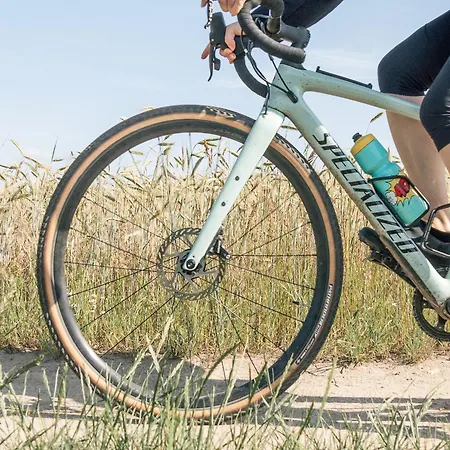 Alte Schmiede Guest house Niemegk (Brandenburg)