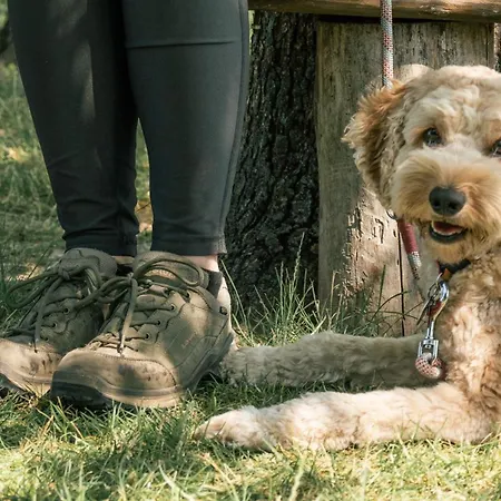 Alte Schmiede 3* Niemegk (Brandenburg)