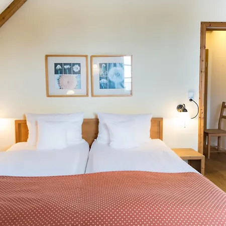 Alte Schmiede 3* 니에메크