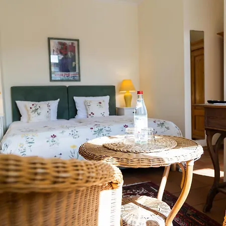 Alte Schmiede 3* 니에메크