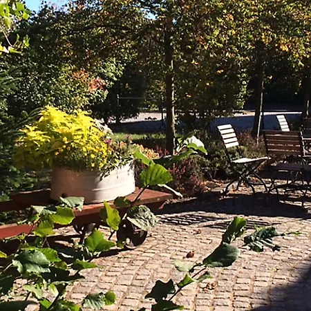 Alte Schmiede 3*