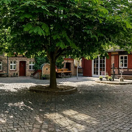 Alte Schmiede 3*