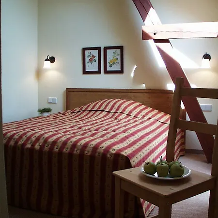 Alte Schmiede 게스트하우스 니에메크