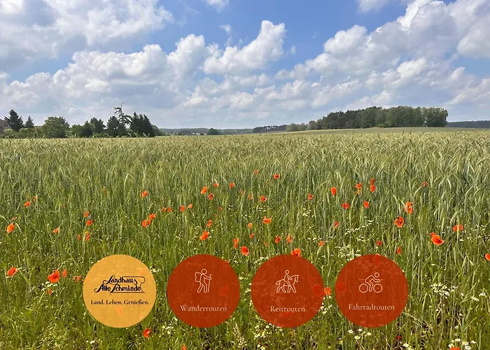 Alte Schmiede 3* Niemegk (Brandenburg)