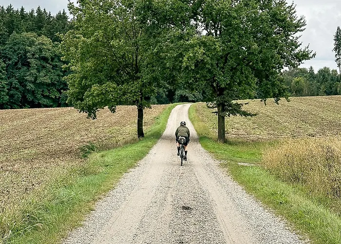 Alte Schmiede بيت ضيافة 3*