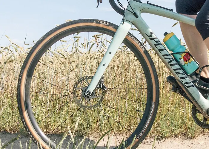 Alte Schmiede بيت ضيافة Niemegk (Brandenburg)