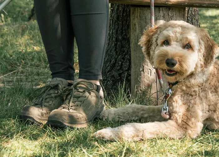 Alte Schmiede 3* Niemegk (Brandenburg)