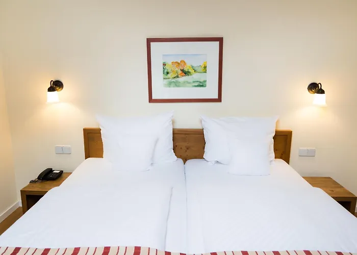 Alte Schmiede بيت ضيافة 3*