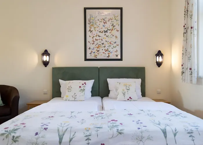 Alte Schmiede بيت ضيافة